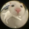 fizonz