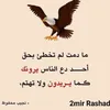 alisamer30