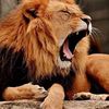zain_ulabideen3