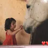 کاسێت