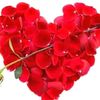 user5844539940606afraaza