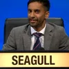 Bobby Seagull