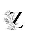 zoomh_30