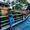thuan242