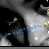 aminaat33