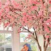 blossomyeojaa