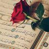 mohammedashraf33333