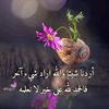 rereahmed81