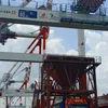 61c23687