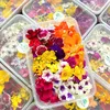 edibleflower_hoaanduoc