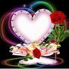 user6786157555198