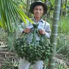 daiviettrainghiemthiet