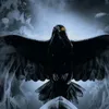 usernl2xw7f6lq