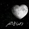 shamyy56