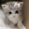 eellieewx
