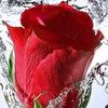 user02815583