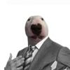 obama_walter