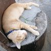 celeb_9532
