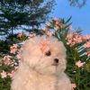 cuteeeesjsi