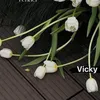 vicky_xn
