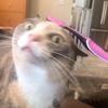 allisonstan0713