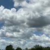 viperprit
