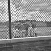 baseball_016