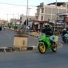 dandi2_stroke1