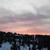 ptrli69