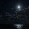 fahad_x93