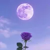 user7qq8vlr5f1