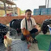 thanh_ga_da_bd