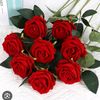 hameeda.khan49