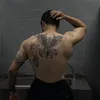 userdsponv3hio