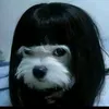 lhbzani
