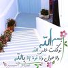 aboodelghaly