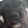 spendawg007