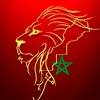 medmouadyoussef