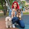 Adriysusdoggies
