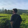 user4486517194375