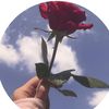 wedad.m95