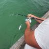 fishing_4pf