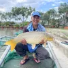88_hoang_nhu_92