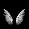 angel000000143