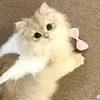 rj_jk2