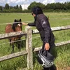 ziabelvlogs