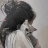 vidangiuu_