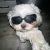 sexybtchhjanica