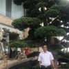 anhoang063