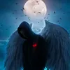 anikeshdhawal0
